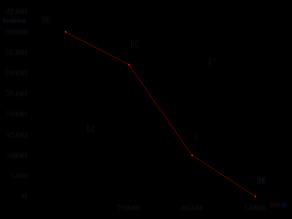 K,L,M,N noktaları fırsat maliyeti eğrisini gösterir.