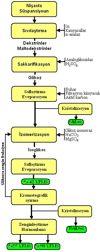 Yüksek Fruktozlu Üretimi Yüksek fruktozlu mısır şurubu genelde mısır nişastasının, kimyasal ve enzimatik hidroliz teknikleri kullanılarak sıvılaştırma, parçalama ve izomerizasyon aşamaları ile