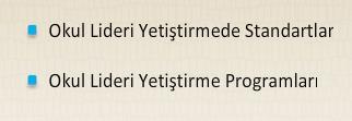 -Eğitim liderliği, entelektüel, ahlaki, kültürel yönden uygulamalı bir alandır. -Okuldaki yönetsel uygulamalar, kültürel, politik, moral (ahlaki) bağlam tarafından belirlenmekte ve beslenmektedir.