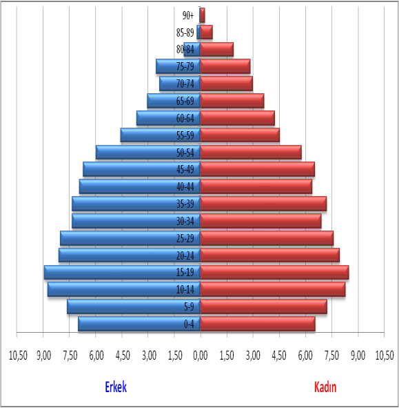 çocuk, %9,15 i yaģlı ve %67,50 si faal nüfustur. Bu değerler Türkiye geneliyle kıyaslandığında, çocuk ve faal nüfusun az, yaģlı nüfusun ise fazla olduğu görülmektedir (Grafik 31).