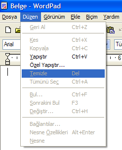 programın menüleri taranır. Örneğin taradığınız menü WordPad ise taranan menü seçenekleri sırasıyla Dosya, Düzen, Görünüm, Ekle, Biçim ve Yardım olacaktır.