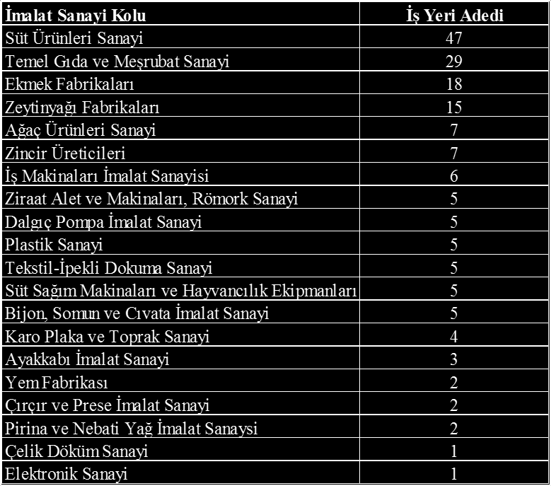 Sanayi alanlarının büyük ölçüde şehir alanında (kent merkezi) bulunması, büyük sanayi tesislerinin bulunmamasından kaynaklanmaktadır.