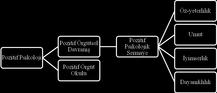 Bu anlamda pozitif psikolojiden hareketle örgütleri de bu bakış açısıyla değerlendiren pozitif örgütsel psikoloji yaklaşımı doğmuştur.