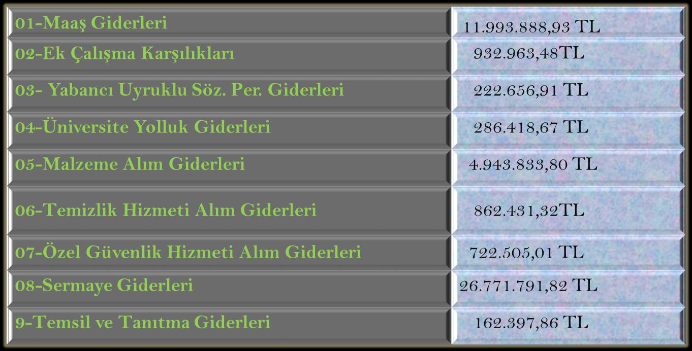 Genel giderler içerisinde Personel Giderleri hesabından sonra en yüksek paya sahip hesap grubu, %58 ile Sermaye Giderleri hesabı