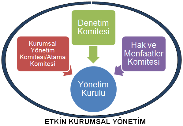 Yönetim Kurulu ve Komiteleri Yönetim kurulunun görev ve sorumluluklarını yerine getirmek için komiteler kurması Denetim komitesi üyelerinin nitelikleri,