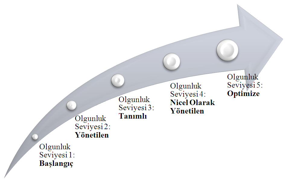 CMMI da iş süreçleri açısından olgunluk seviyelerinde yükselebilmek için, organizasyonlar CMMI da tanımlanan ilgili seviyede yer alan iş süreçlerini tanımlamak, iyileştirmek ve gerçekleştirmek