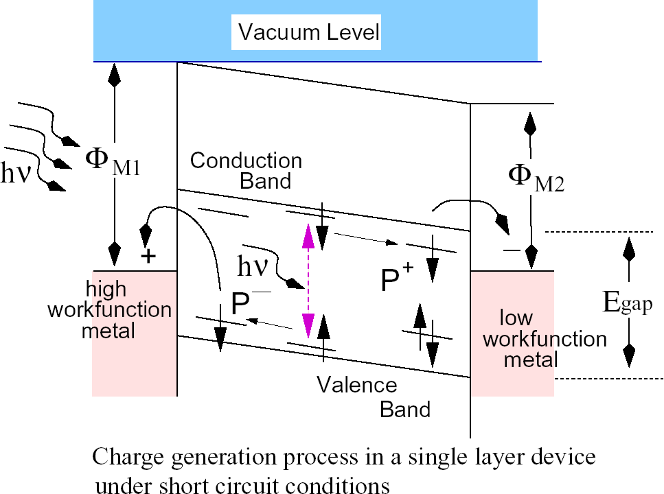 Separating electrons and holes: A prerequisite for photovoltaic applications Blending C 60 and p-conjugated polymer Recombination of P+ and P- reduces device efficiency From: Christoph J. Brabec, N.