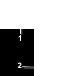 Dosya > Yeni > ActionScript Dosyası komutnu seçin. Resim 4.