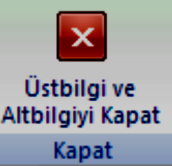 seçenekleri ile de numaralandırma işlemlerine ait düzenlemeleri yapabiliriz.