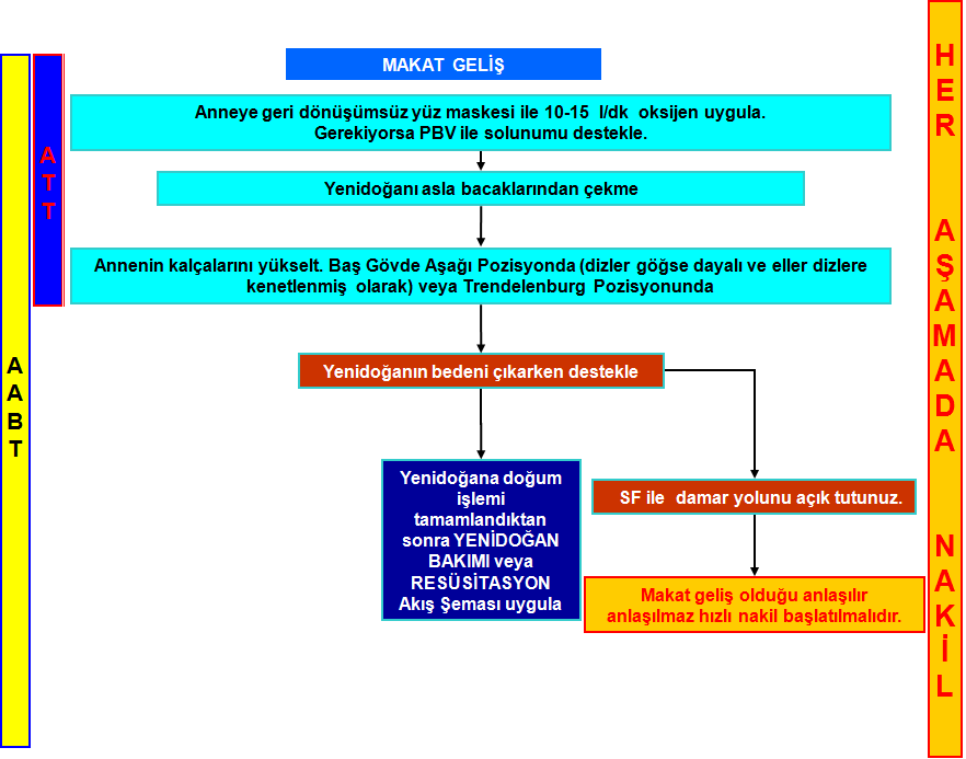 Annenin, kalçası yükseltilir ve normal doğumda olduğu gibi hazırlanır. Doğum için gerekli malzemeler hazırlanır.