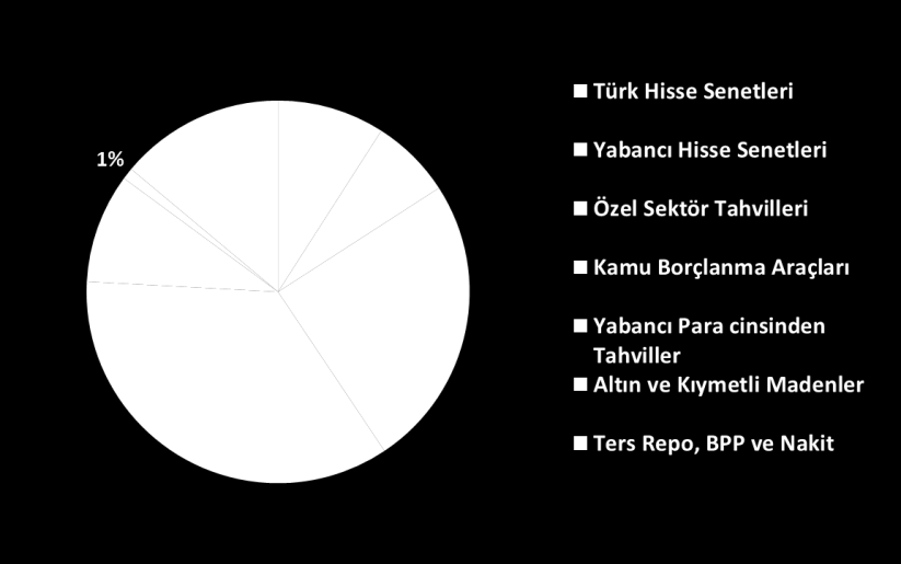 HSBC Portföy Çoklu Varlık Dengeli Değişken Fon (İkinci Değişken) 31 Ağustos 2015 Fon Hedefi ve Yatırım Politikası Fon Kodu: HPD Fon, ağırlıklı Türk Lirası cinsinden varlıklar olmak üzere çeşitli