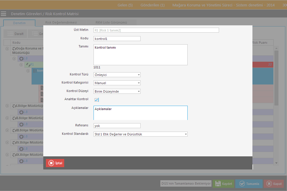 Kontrol bölümünde üst metin, kontrolün kodu, tanımı, türü, kategorisi, düzeyi, anahtar kontrol olup