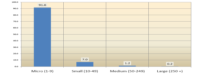 Şekil 9 Çalışanlara Göre İşletme Varlığı (Şirket) Büyüklüğü Kaynak: AB nin Kıbrıs ın Kuzey Kısmında Mesleki Eğitim Sistemlerinin, Hayatboyu Eğitimin ve Aktif İş Piyasasının Gelişimini ve Teşviğini