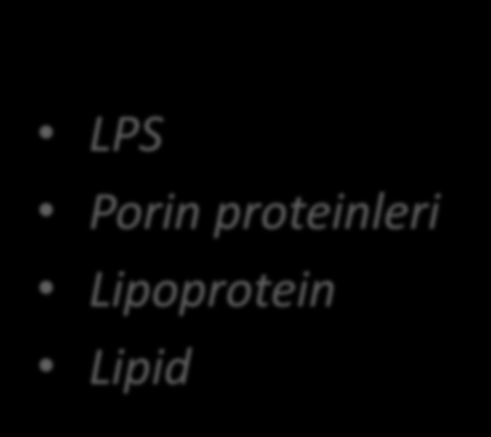 Doğal bağışık yanıtta rol oynayan hücreler mikropları memli