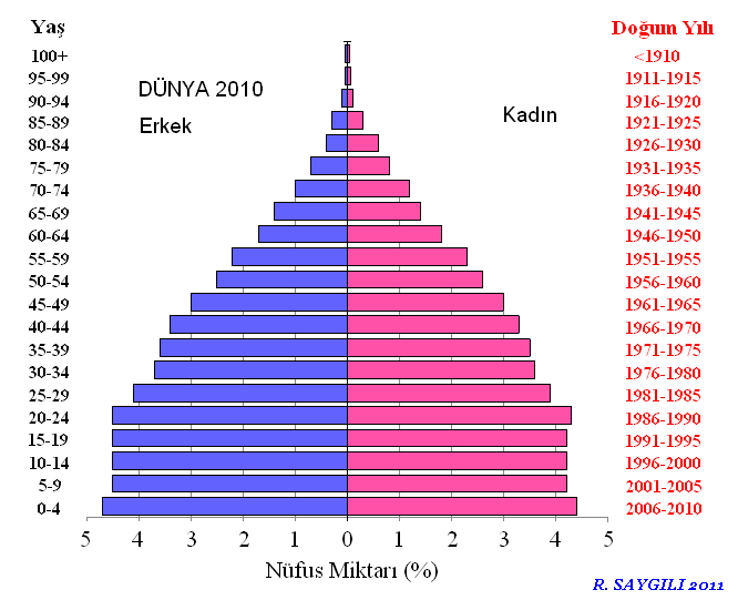 Bazı ülkelerin cinsiyet oranları (100 kadın başına düşen erkek sayısı) Sıra Ülke Cinsiyet oranı (2011 tahmini) 1 Rusya 74 2 Ukrayna 86 3 Macaristan 91 4 Japonya 95 5 Fransa 96 6 Meksika 96