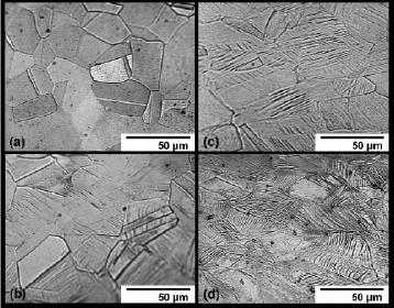 TWIP çeliğinin mikroyapısı: (a)