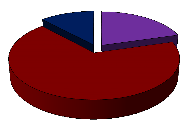 YaĢlı bireylere Ģu anda bulundukları yaģlarını nasıl değerlendirdikleri sorulduğunda % 61,5 inin (n=72) yaģında hissettiğini ifade ettiği belirlendi. 6.2. YAġAM DOYUM ÖLÇEĞĠ ĠLE ĠLGĠLĠ BULGULAR Tablo 6.