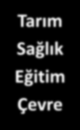 İTEP DEĞERLENDİRME ÖLÇÜTLERİ ve TEMATİK ALANLARI Niş Alanlar ve Sosyal Mevcut ve Endüstriye Yaygın Etki Boyutu Etkiler Ar-Ge Çalışmaları Düzeyi Pazara Giriş ve Rekabetçilik Düzeyi Firma Üretim