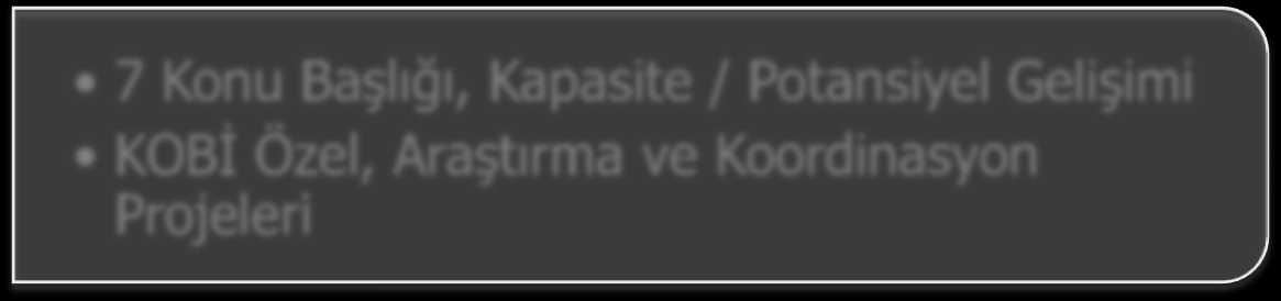 Mükemmeliyet Odaklı Bireysel Araştırmacılar / Takımlar Burs ve Destek Projeleri Konu Bağımsız Kariyer Gelişimi / Sürekliliği Bireysel