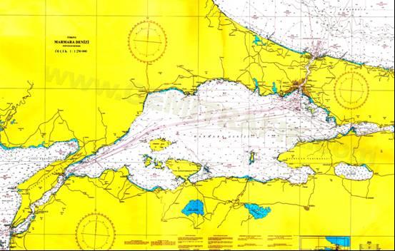 GĠRĠġ Marmara Denizi ve Türk Boğazlarındaki gemi aktiviteleri son elli yıl içerisinde önemli seviyede artmıştır.