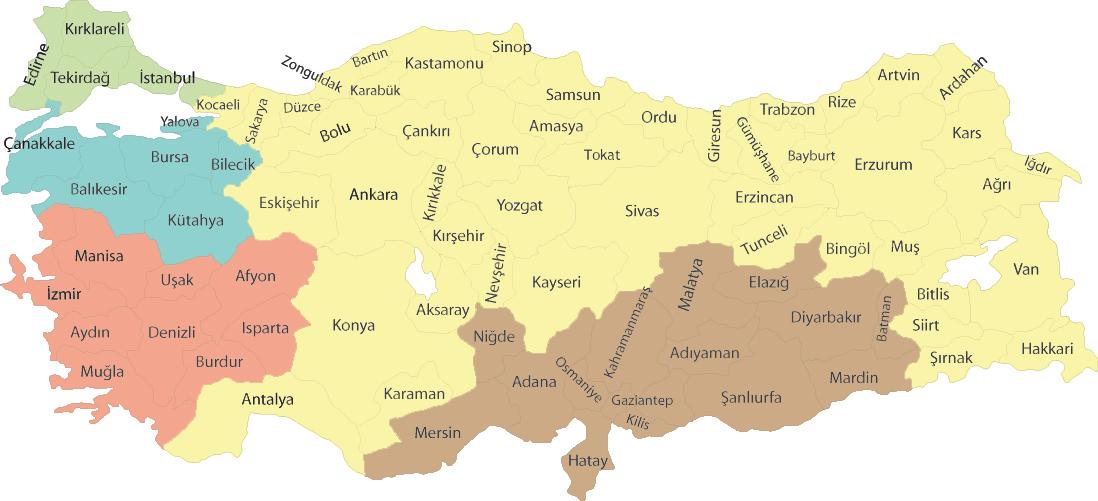 İŞ TEFTİŞ