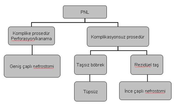 Benign Prostat Hiperplazisi Benign prostat hiperplazisi gelişmesinde prostatit ile arasındaki doğrudan ilişki St Sauver JL, Jacobson DJ, McGree ME, Girman CJ, Lieber MM, Jacobsen SJ.