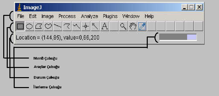 Şekil 1.8.ImageJ penceresi ve bileşenleri. 1.3.2. ImageJ Yazılımında Seçim Görüntü üzerindeki alan seçimleri dikdörtgen, oval, poligonal ve serbest çizimler araçlar çubuğundaki Şekil 1.9.