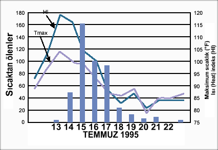 Şekil-14: 1995 Temmuz ayında ABD Chicago da beş gün içerisinde en 600 kişi hayatını kaybetti (NOAA/NCDC) Yaş, sağlık durumu, vücut yapısı, aktivite seviyesi sıcaklık ekstremleri, insan vücudunun