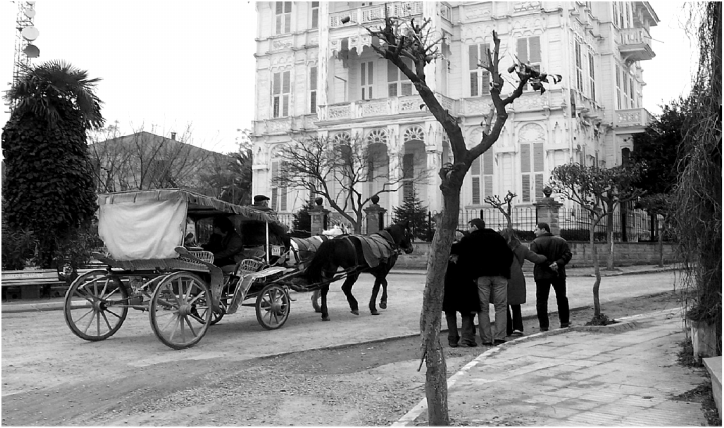 T.C. ADALAR BELEDiYESi