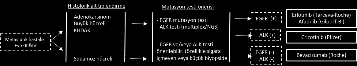 Şekil 1: National Comprehensive Cancer Network (NCCN) Akciğer Kanseri Algoritması 1.