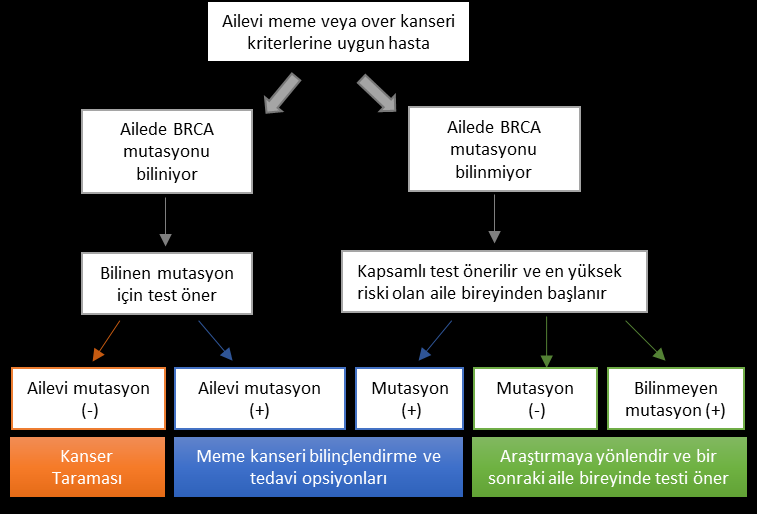 PIK3CA/AKT yolağı Meme kanserlerinde, PI3K/AKT yolağında oluşan mutasyonlar %30 oranında görülür ve PIK3CA, AKT1 ve AKT2 de aktivasyon mutasyonlarına ve PTEN kaybına yol açar 3.