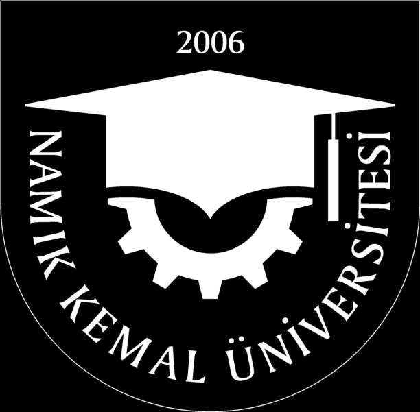 T.C. Namık Kemal Üniversitesi 2013 Yılı Akademik