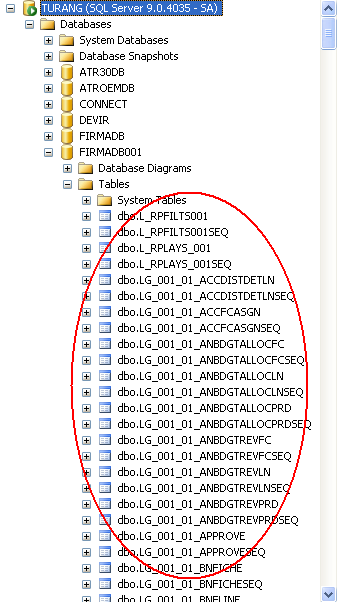 Firmanın yanında hangi database de tutulduğu bilgisi yeralmaktadır. 001 nolu firma [FIRMADB001] databasende tutulmaktadır.