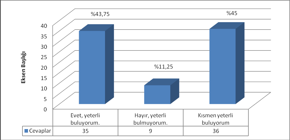 nicelik, nitelik, sonuç ve etkileri itibarıyla gerçekleşme düzeylerini ve bu düzeylerin gerektiğinde hangi kriterlerle değerlendirilip ölçüleceğini gösteren performans hedef ve göstergelerini içeren,