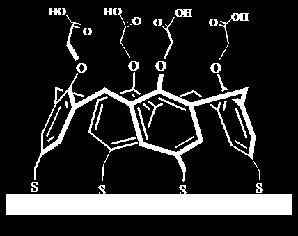 12 sentezlemiştir. Bu bileşiğin bir altın film üzerinde oluşturduğu monolayer sistemi (Şekil 1.12.) ise bazı proteinlerin belirlenmesinde kullanılmıştır. ġekil 1.12. Au film üzerindeki kaliksaren monolayeri Kromatografi çalışmalarında Erdemir ve Yılmaz (2010), silikajel bağlı yeni bir kaliks[4]aren bileşiği sentezlemişler (Şekil 1.