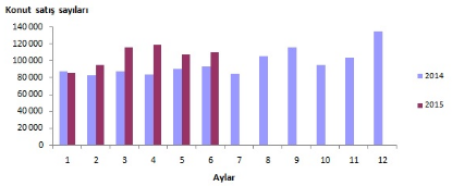 Ulusal ve uluslararası ekonomik şartlar ve finansal piyasaların durumu, dikkate alınmak suretiyle, oluşması halinde Şirket dağıtılabilir net kârının % 20 sinin nakit kar payı ve/veya bedelsiz hisse