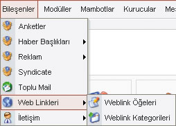 Joomla admin panelinden, Bileşenler > web