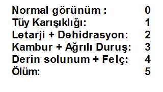 Klinik Skor Klinik Skor İndeksi 5 5 ugr 20 ugr 40 ugr