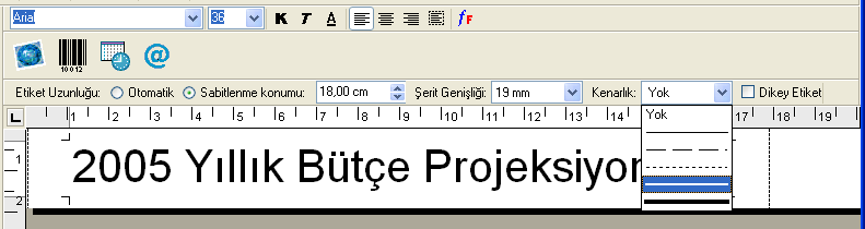 Etiketin Tasarlanması 4 Ana pencereye 2005 Yıllık Bütçe Projeksiyonları yazın.