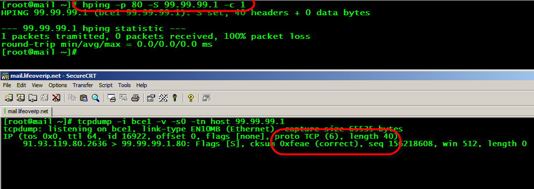 TCP SYN Paketi Ortalama 60 byte Gönderilen her SYN