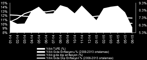 Enflasyonda düşüş başka bahara 2015 e Merkez Bankası nın 4 yıllık uzun bir aradan sonra enflasyon hedefine ulaşabileceğine dair büyük umutlarla başladık.