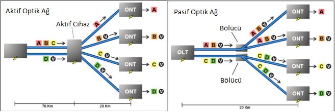 AON mimarisi, ethernet ağ yapısına benzemesi nedeniyle aktif ethernet sistemi olarak da bilinir. Aktif ethernet sisteminde data trafiği, ethernet tabanlıdır. Standart olarak IEEE802.