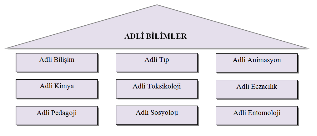 3.ADLİ BİLİŞİM 3.1.Adli Bilişim Nedir Topluma zarar verdiği ya da tehlikeli olduğu kanun koyucu tarafından kabul edilen ve belirtilen eylem, davranış ve hareketlere suç denir [24].