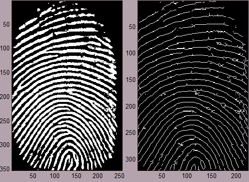Şekil 24. Parmak izi alanının belirlenmesi 5.3.1.4. İnceltme İnceltme, parmak izi resmi üzerinde bulunan her bir hat çizgisi genişliğinin daraltılarak 1 piksel ile ifade edilmesi şeklinde tanımlanabilir.