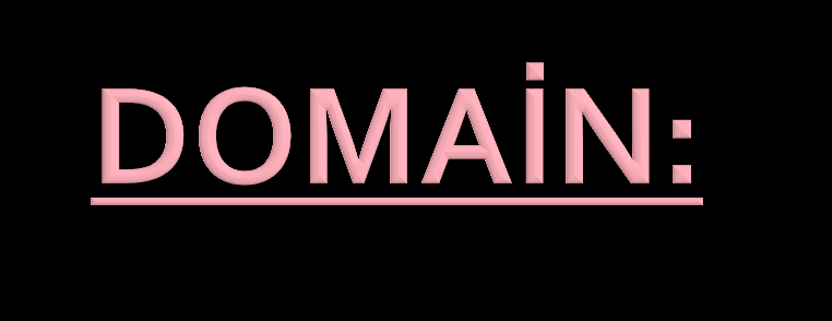 Domain, bir web sitesinin internetteki adıdır.