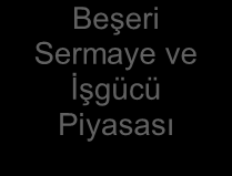 Özel sektörün öncü yapısı kamunun ihtiyaç duyulan alanlarda nitelikli altyapı yatırımlarıyla desteklenerek üretim kapasitenin verimli bir şekilde yükseltilmesi, Firmaların kurumsal kapasitelerinin