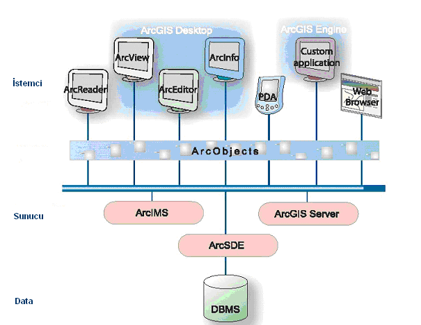 5.1.1 ArcGIS ArcGIS Desktop, (ArcInfo, ArcView ve ArcEditor) içerisinde bütünleģik olarak gelen ArcMap, ArcCatalog, ArcToolbox, ArcGlobe ve Model Builder arayüzleri ile, haritalama, mekansal