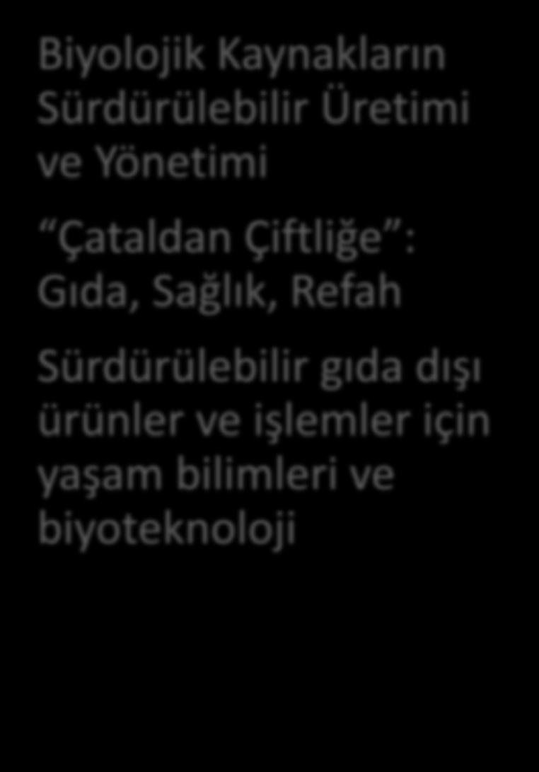 Amaç Desteklenen Faaliyetler Bilgi Temelli Biyo- Ekonomi (Knowledge Based Bio- Economy) oluşturmak, biyolojik kaynakların sürdürülebilir yönetimi, üretimi ve kullanımı için bilgitemeli