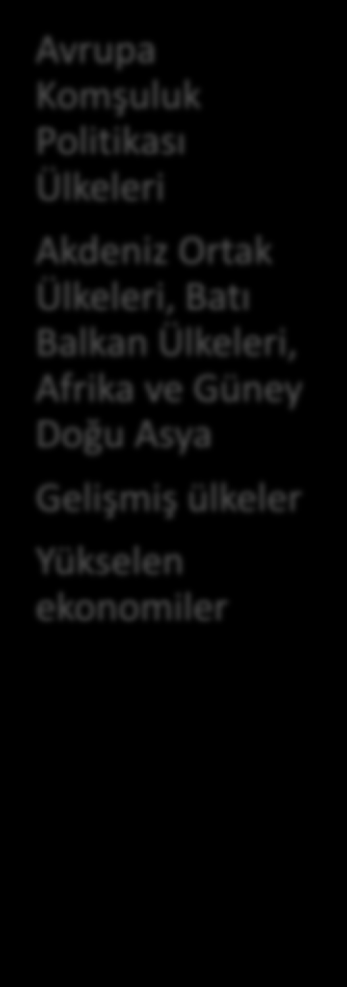 Amaç Desteklenen Etkinlikler Hedef Bölgeler 3. ülkelerdeki en iyi araştırmacıların Avrupa da ve Avrupa için çalışmasını sağlayarak belirlenen araştırma alanlarında 3.