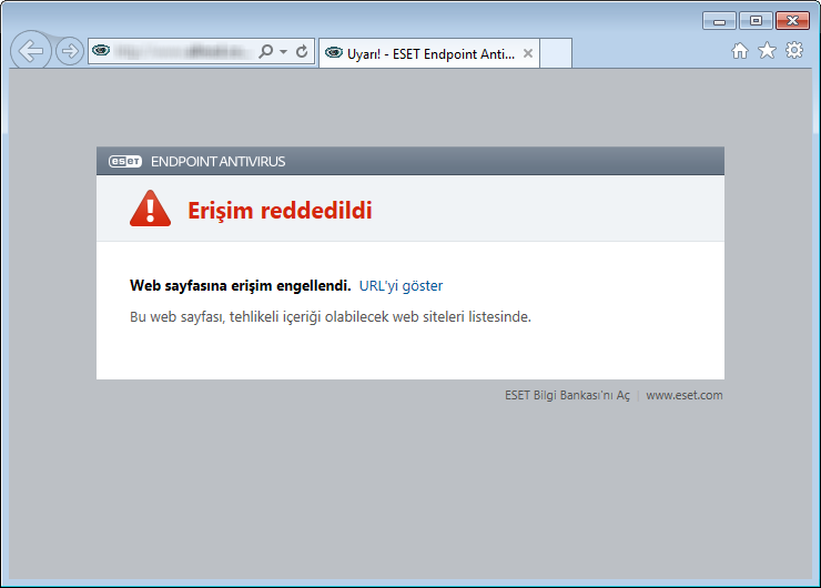 3.8.2.3 Web erişimi koruması Internet'e bağlanabilirlik birçok kişisel bilgisayar için standart bir özelliktir.